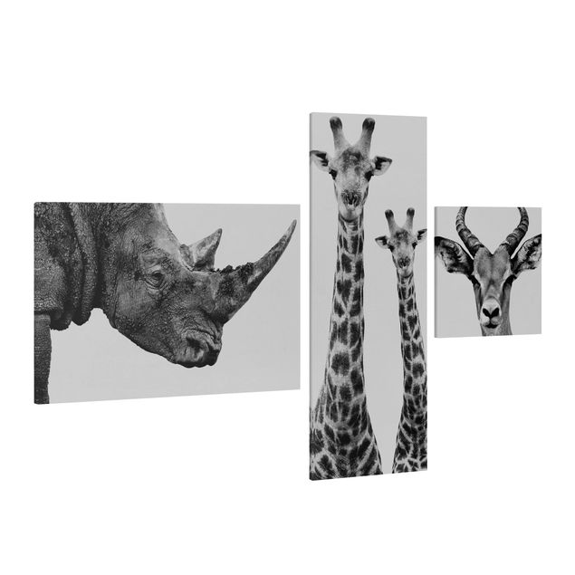 Stampa su tela 3 parti - Safari Trilogy II - Collage 2