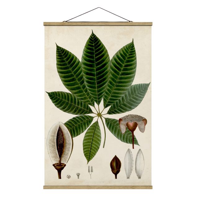 Quadri verdi Poster con piante caducifoglie VII