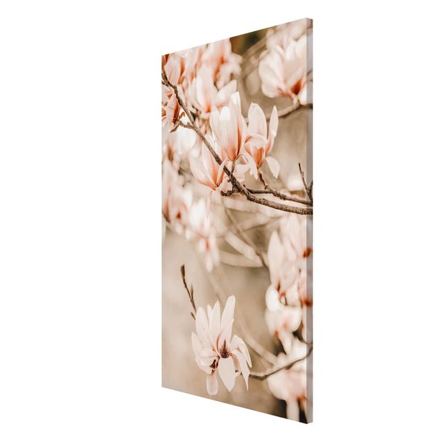 Lavagne magnetiche con paesaggio Ramoscello di magnolia in stile vintage