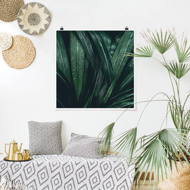 Quadro moderno Foglie di palma verde