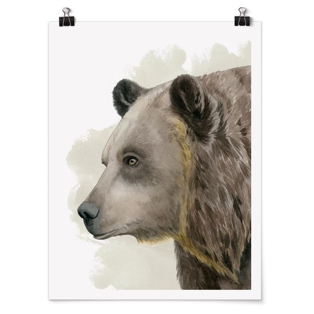 Poster animali Amici della foresta - Orso