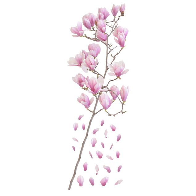 Pellicole colorate per vetri Set rami di magnolia