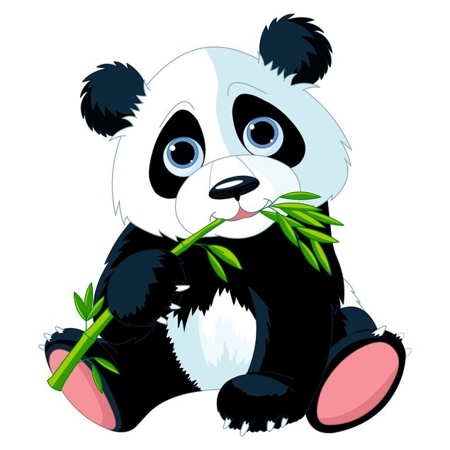 Adesivi per finestre con animali Panda e snack