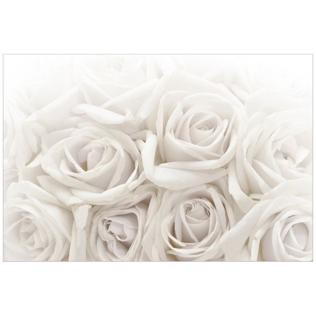 Pellicola adesiva per vetri Rose bianche