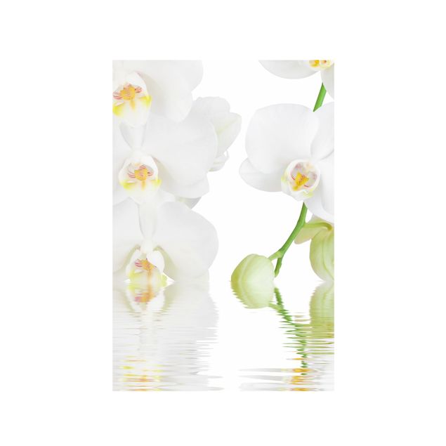 Pellicola adesiva per vetri Wellness orchid