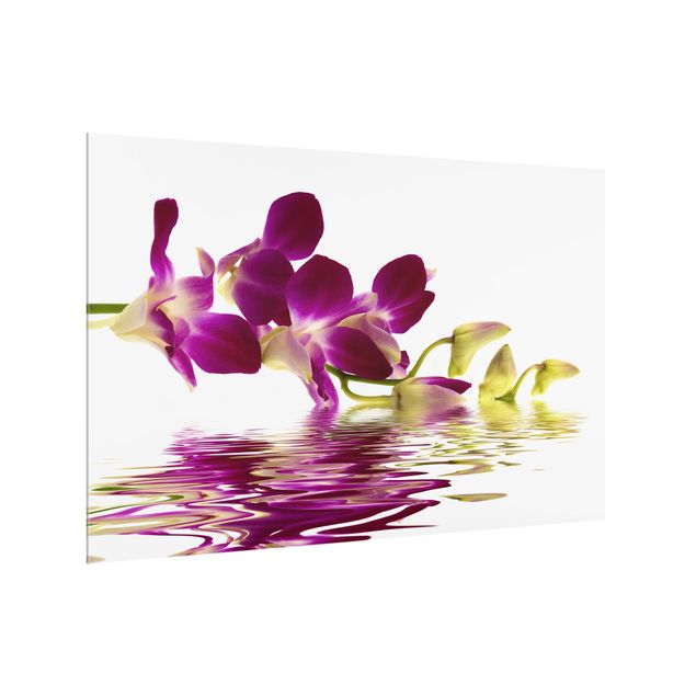 Paraspruzzi cucina Acque di orchidee rosa