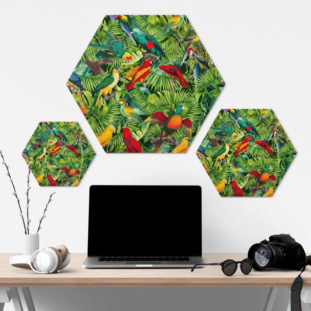 Quadri esagonali Collage colorato - Pappagalli nella giungla
