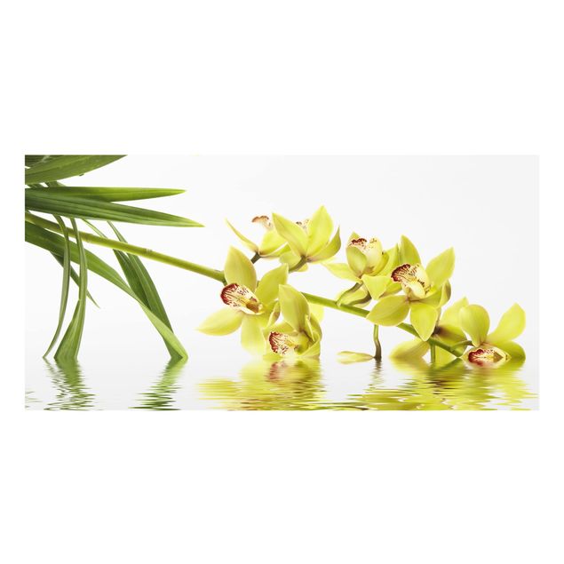 Paraschizzi in vetro - Elegant Orchid Waters