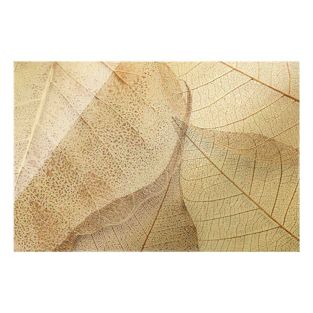 Magnettafel Glas Delicata struttura di foglie in oro