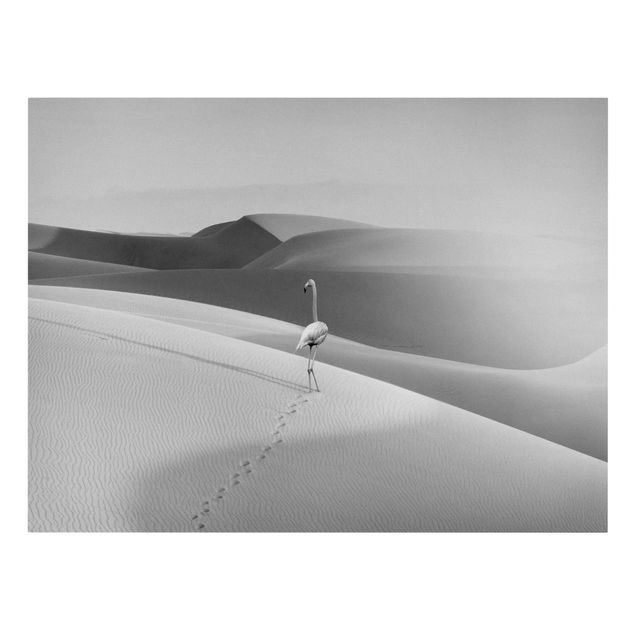 Quadri moderni bianco e nero Fenicottero nel deserto