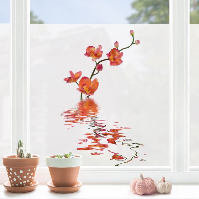 Adesivi per finestre con fiori Flamy Orchid Waters