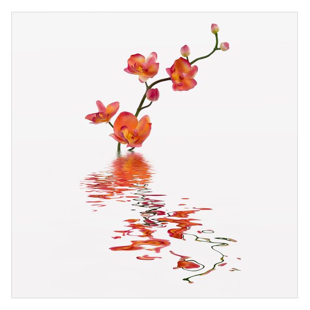 Decorazione per finestre - Flamy Orchid Waters