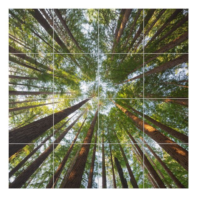 Pellicole per piastrelle verdi Cime di Sequoia