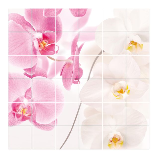 Pellicola adesiva Orchidee delicate