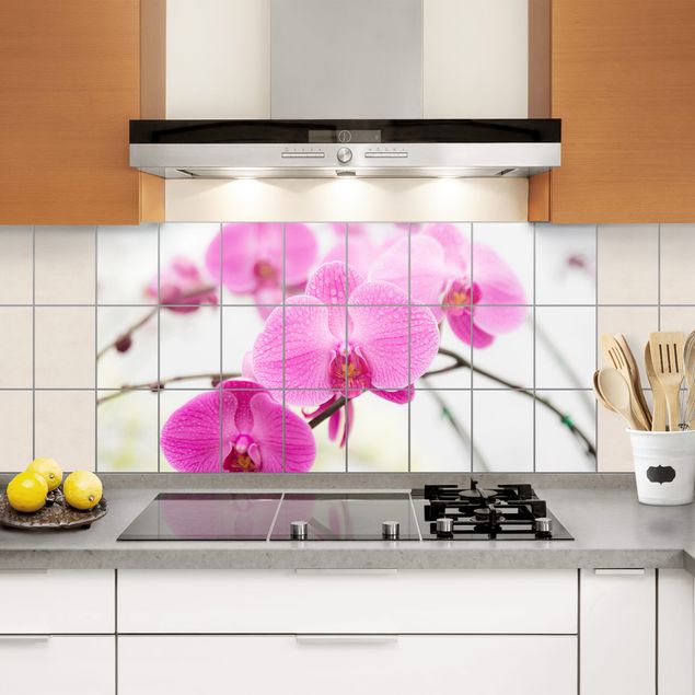 Pellicola adesiva Piastrelle murali Primo piano di orchidea