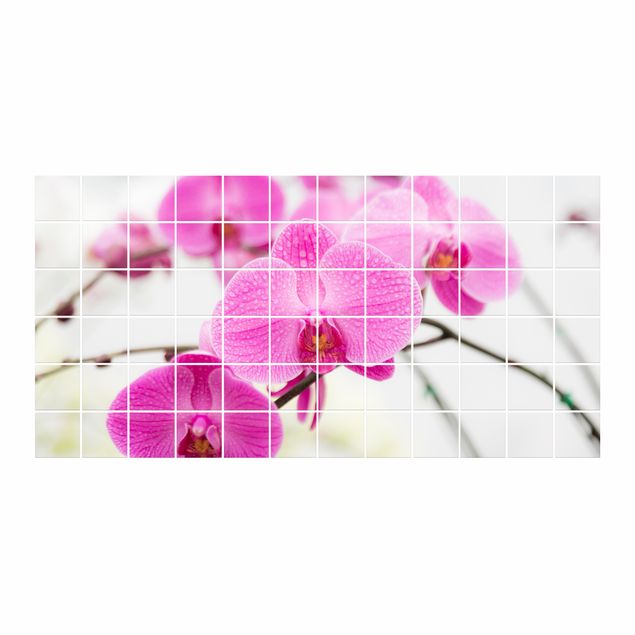 Adesivi per piastrelle Piastrelle murali Primo piano di orchidea