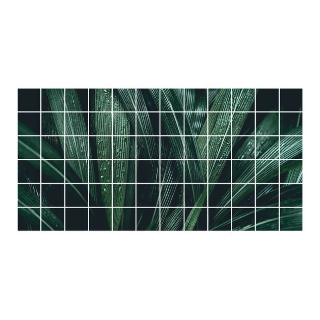 Carta adesiva Foglie di palma verde