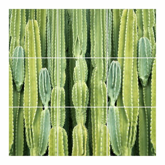 Adesivo per piastrelle - Cactus Wall - Quadrato
