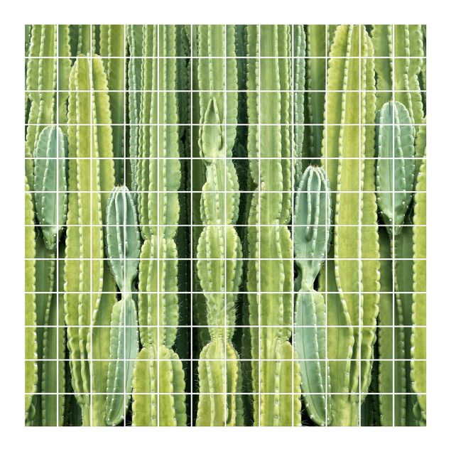 Adesivo per piastrelle - Cactus Wall - Quadrato