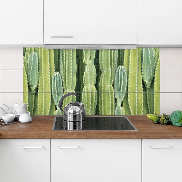 Pellicole per piastrelle verdi Muro di cactus