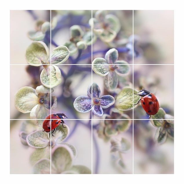 Adesivo per piastrelle - Ladybug In The Garden - Quadrato