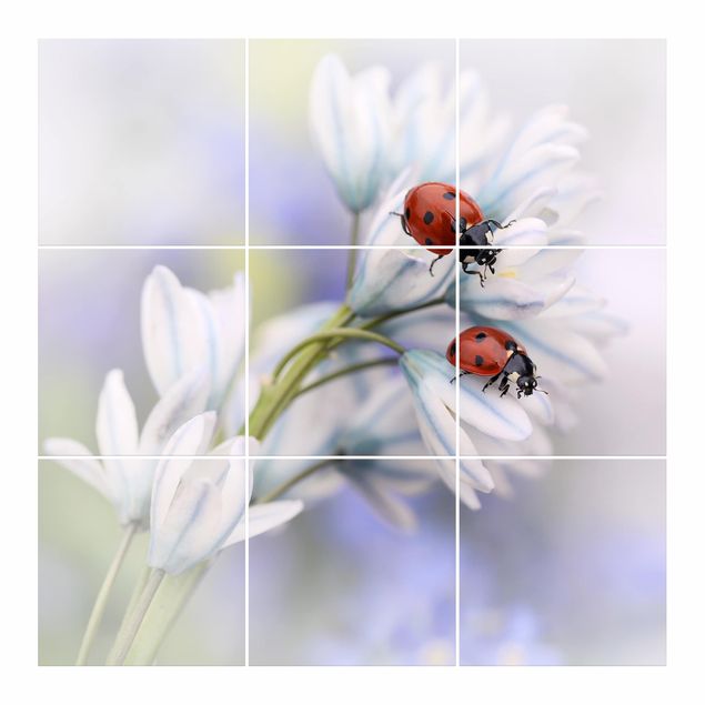 Adesivo per piastrelle - Ladybugs Couple - Quadrato