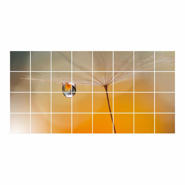 Adesivo per piastrelle - Dandelion In Orange - Orizzontale