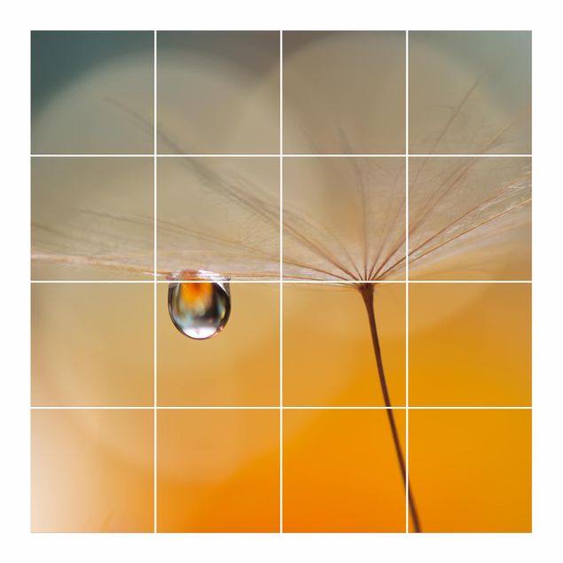 Adesivo per piastrelle - Dandelion In Orange - Quadrato