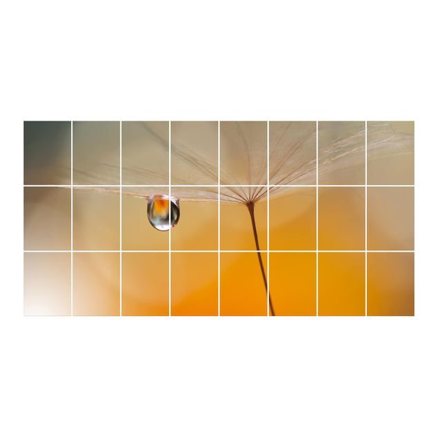 Adesivo per piastrelle - Dandelion In Orange - Orizzontale