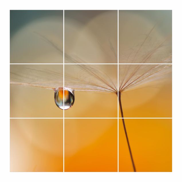 Adesivo per piastrelle - Dandelion In Orange - Quadrato