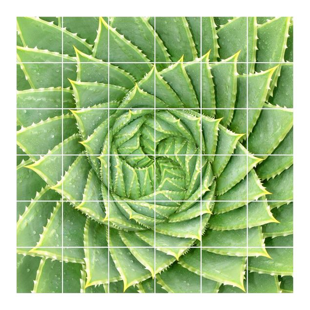 Adesivi per piastrelle con disegni Aloe a spirale