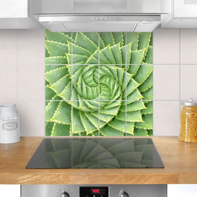 Pellicole per piastrelle con disegni Aloe a spirale