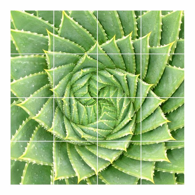 Carta adesiva Aloe a spirale