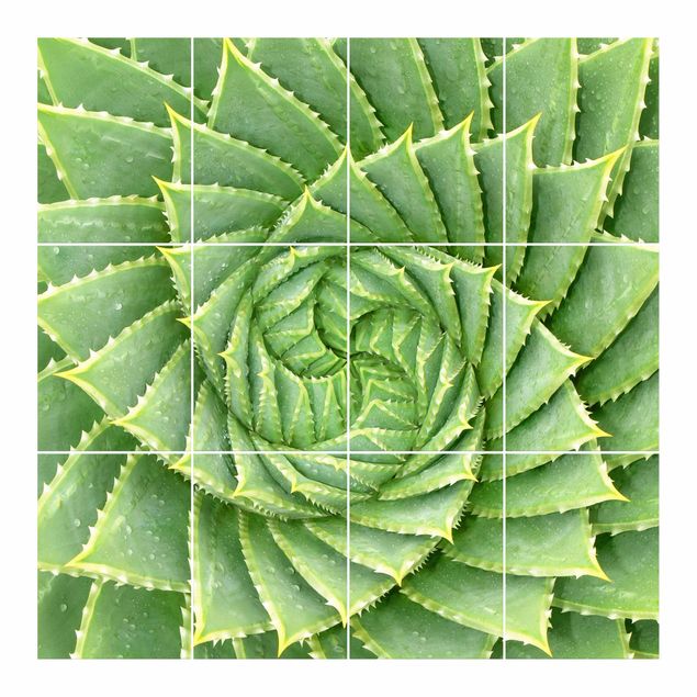 Sticker piastrelle Aloe a spirale
