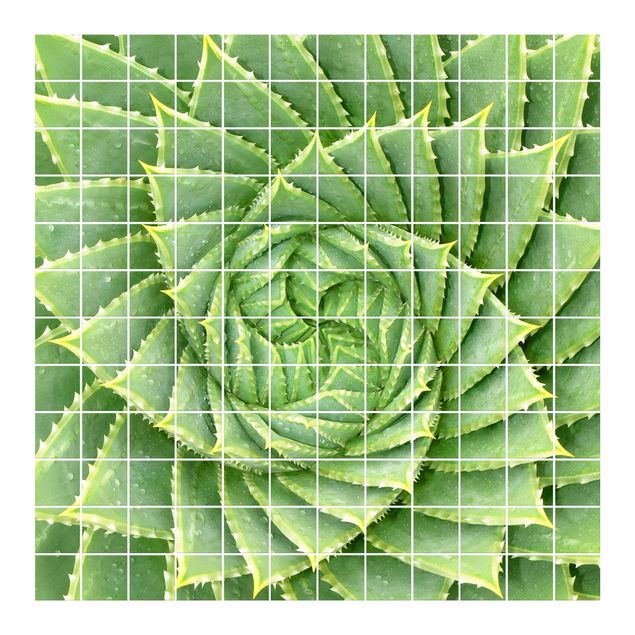 Adesivo per piastrelle - Spiral Aloe - Quadrato
