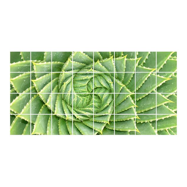 Pellicole per piastrelle verdi Aloe a spirale