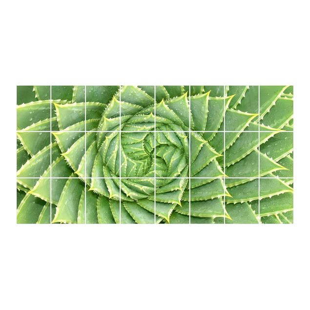 Pellicola autoadesiva Aloe a spirale