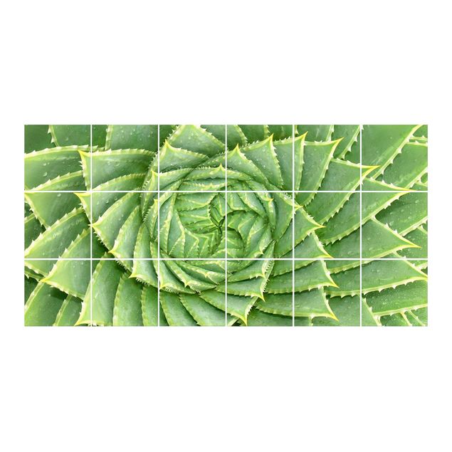 Adesivi mattonelle Aloe a spirale