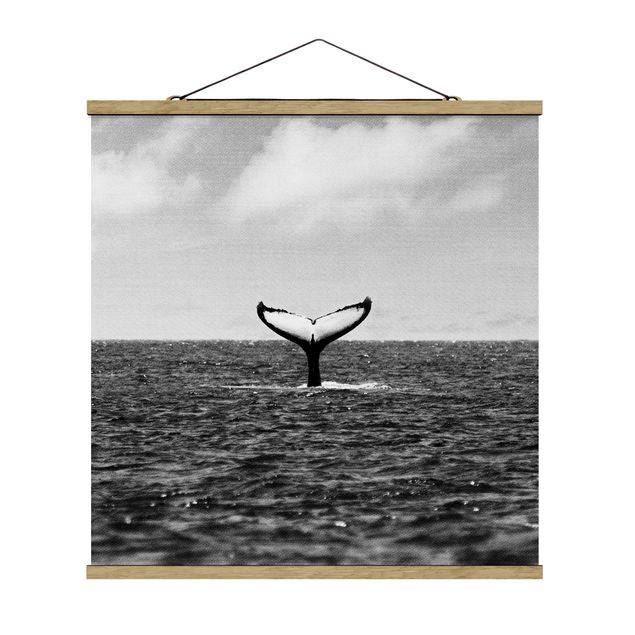 Poster con spiaggia Pinna di coda in mezzo all'oceano