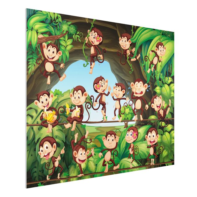 Decorazioni camera bambini Scimmie della giungla