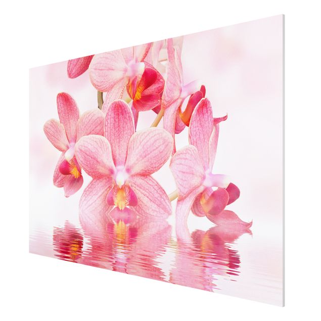Quadri con fiori Orchidea rosa chiaro sull'acqua