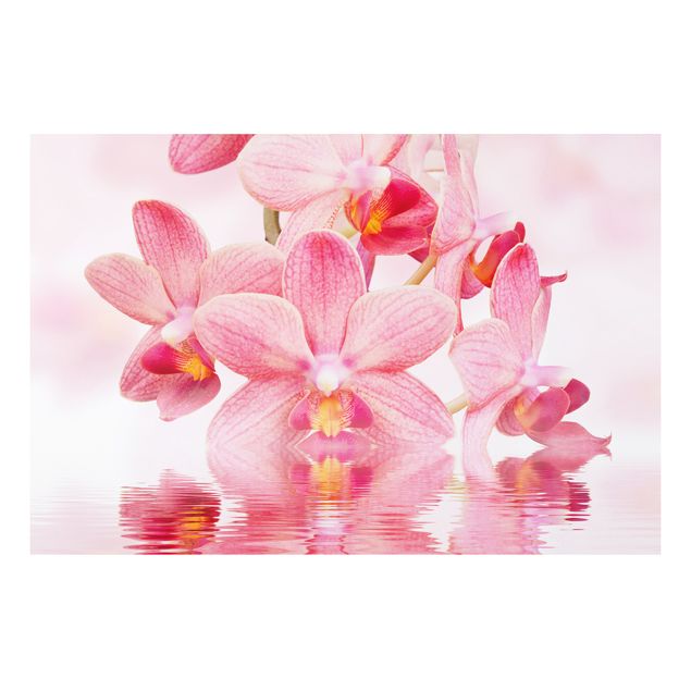 Quadri moderni   Orchidea rosa chiaro sull'acqua