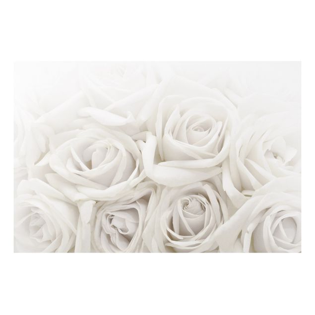 Amore quadri Rose bianche