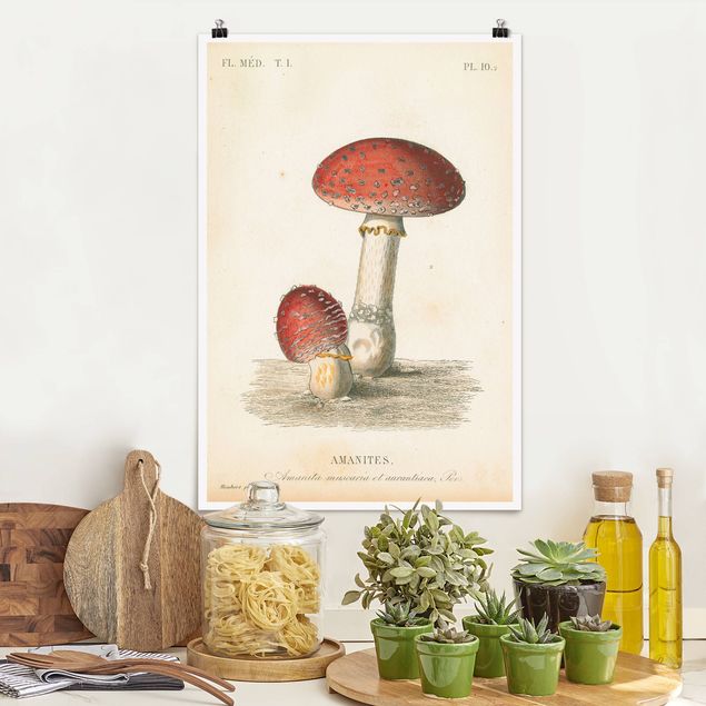 Poster retro style Funghi francesi II