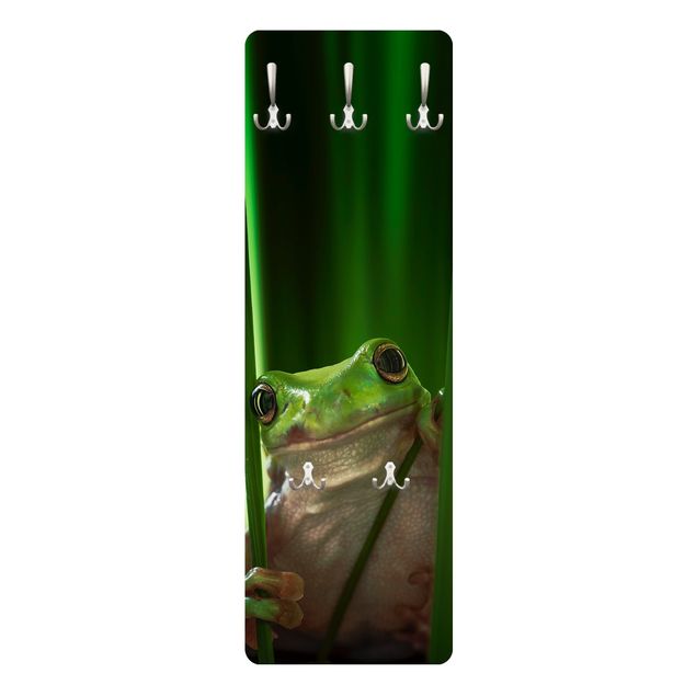 Appendiabiti - Happy Frog- Slender
