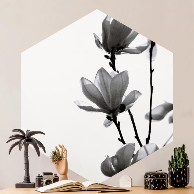 Carta da parati moderne Magnolia araldo di primavera in bianco e nero