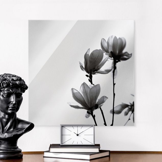 Quadri in vetro con fiori Magnolia araldo di primavera in bianco e nero