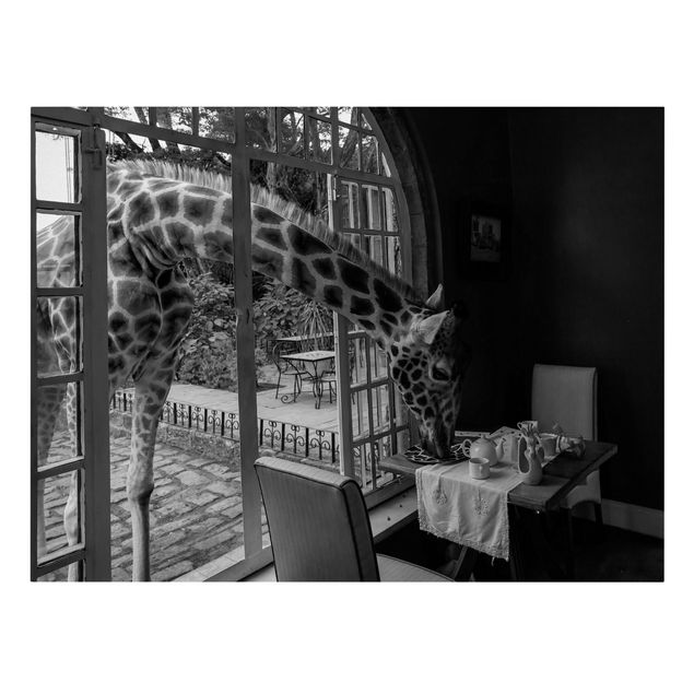 Quadri su tela Africa Colazione con la Giraffa