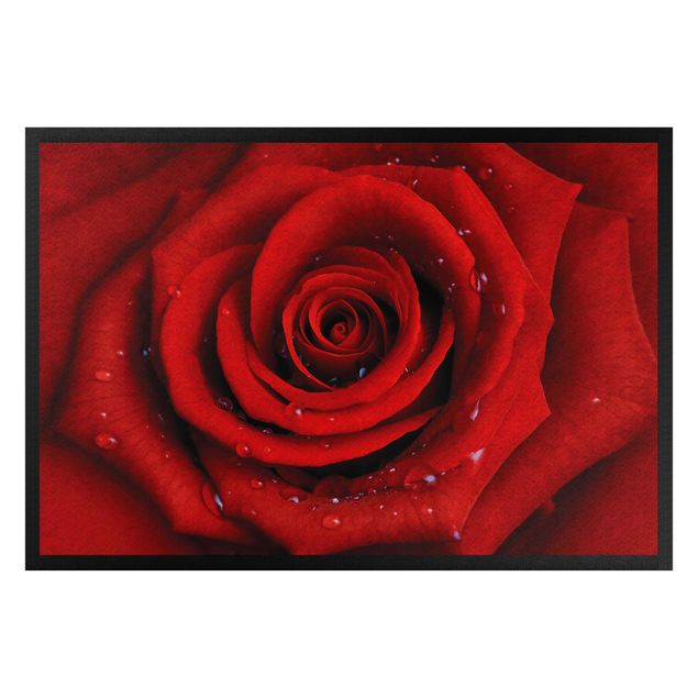 tappeto moderno Rosa rossa con gocce d'acqua