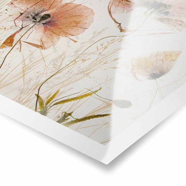 Stampe poster Fiori di papavero secchi con erbe delicate